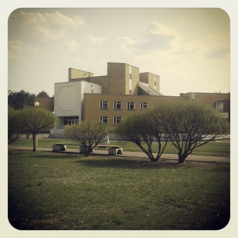 Город. Instagram: Светлогорск в лесу