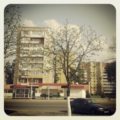 Город. Instagram: Светлогорск в лесу