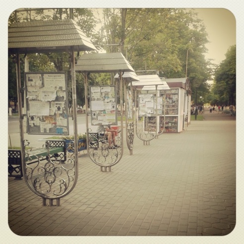 Город. Instagram: Светлогорск в лесу