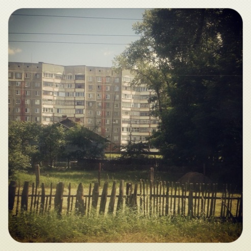 Город. Instagram: Светлогорск в лесу