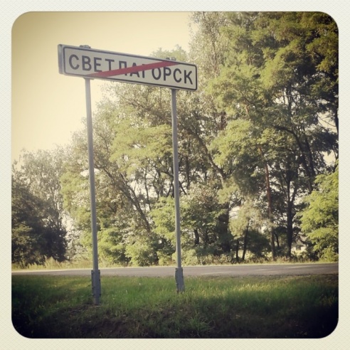 Город. Instagram: Светлогорск в лесу