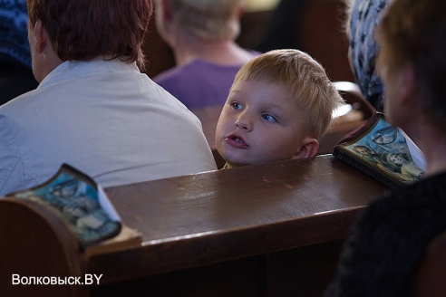 Дажынкі ў Рэплі