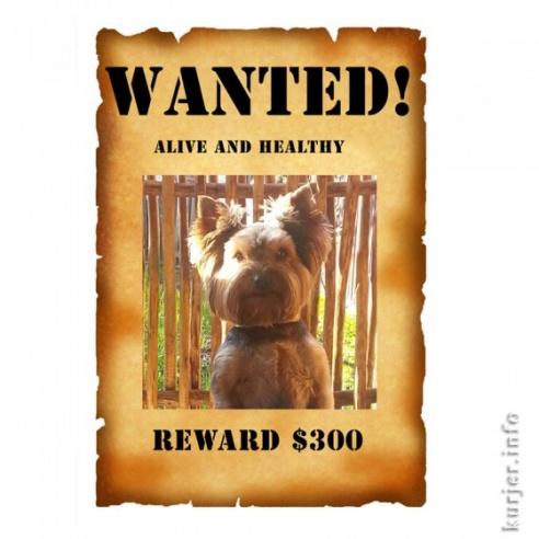 Про $300, нашу предприимчивость и рекордное вознаграждение