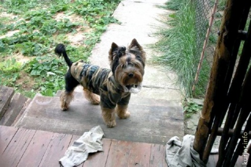 Про $300, нашу предприимчивость и рекордное вознаграждение