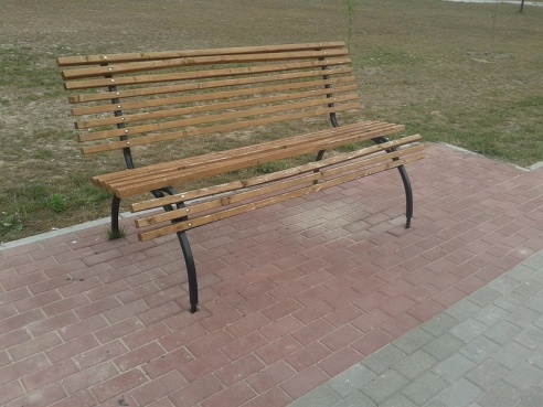 Фотофакт: на мозырской аллее похозяйничали вандалы