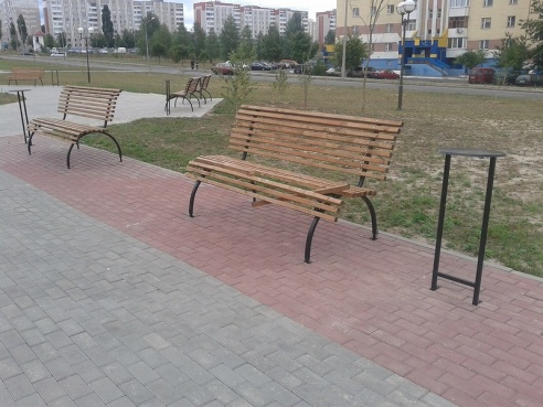 Фотофакт: на мозырской аллее похозяйничали вандалы