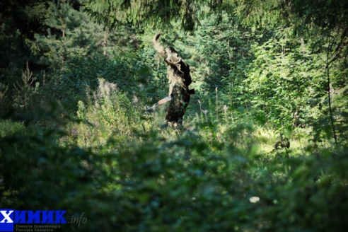 Мужские игры: страйкбол (много фото)