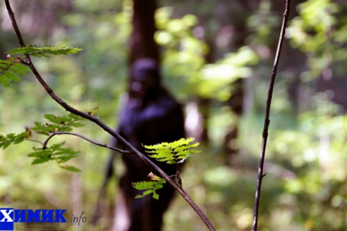 Мужские игры: страйкбол (много фото)