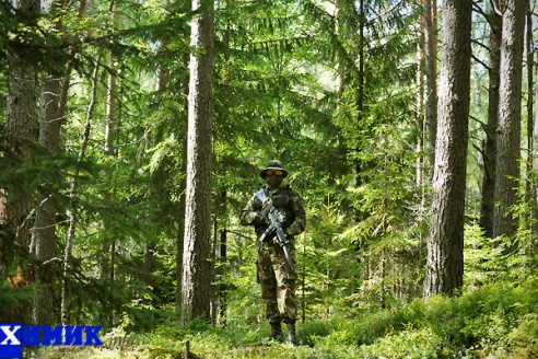 Мужские игры: страйкбол (много фото)