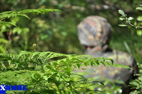 Мужские игры: страйкбол (много фото)