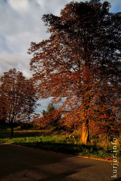 Фотохроника августа—2013. Слуцк