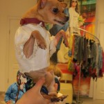 “Бабье лето” в Linxs: фотографии покупателей