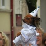 “Бабье лето” в Linxs: фотографии покупателей