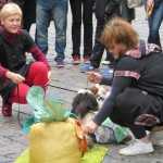 “Бабье лето” в Linxs: фотографии покупателей