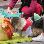 “Бабье лето” в Linxs: фотографии покупателей