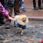 “Бабье лето” в Linxs: фотографии покупателей