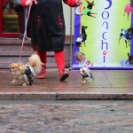 “Бабье лето” в Linxs: фотографии покупателей