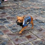 “Бабье лето” в Linxs: фотографии покупателей