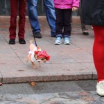 “Бабье лето” в Linxs: фотографии покупателей