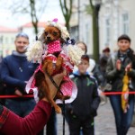 “Бабье лето” в Linxs: фотографии покупателей