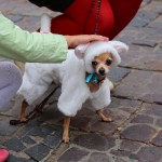 “Бабье лето” в Linxs: фотографии покупателей