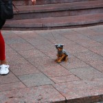 “Бабье лето” в Linxs: фотографии покупателей