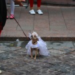 “Бабье лето” в Linxs: фотографии покупателей