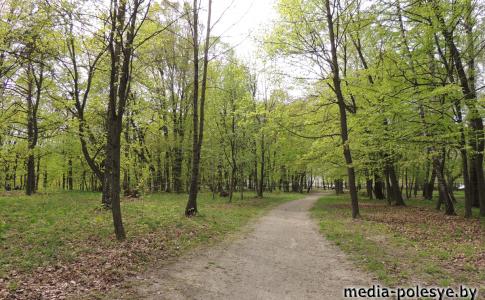 Молодожёны для свадебной фотосессии выбирают самые красивые места в городе