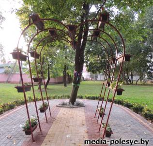 Молодожёны для свадебной фотосессии выбирают самые красивые места в городе