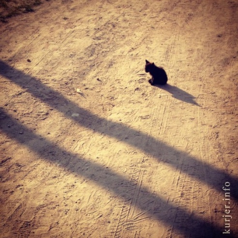 Фотоокна. 3 сентября 2013