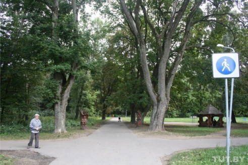 Как в Гродно добились бережного обновления лесопарка “Румлево”