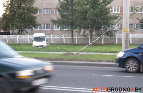 В Гродно пьяный водитель угнал микроавтобус, вытолкнул VW Golf в столб, а сам, выскочив на газон, сломал дерево