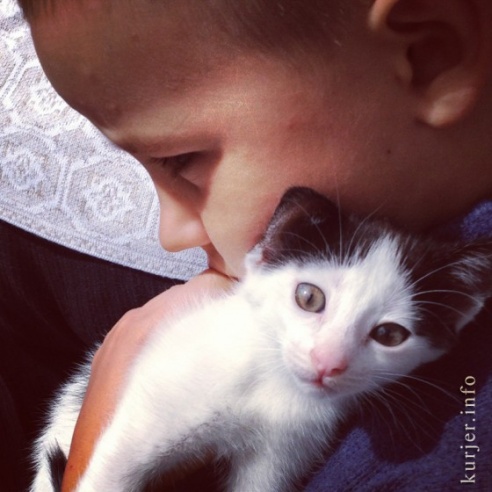 Фотоокна. 6 сентября 2013