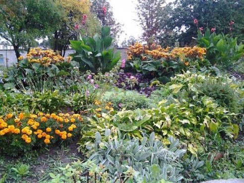 Сказка, а не садик!