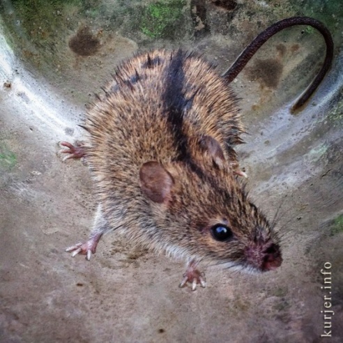 Фотоокна. 9 сентября 2013. Детали