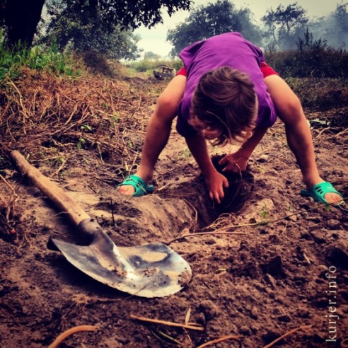 Фотоокна. 9 сентября 2013. Детали