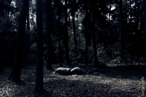 Фотоокна. 9 сентября 2013. Детали