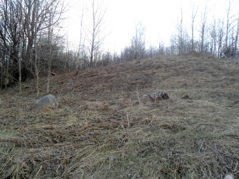 Гісторыя Мачулінскіх апазіцыянераў