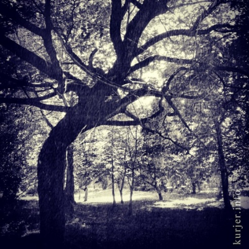 Фотохроника августа—2013. Слуцк