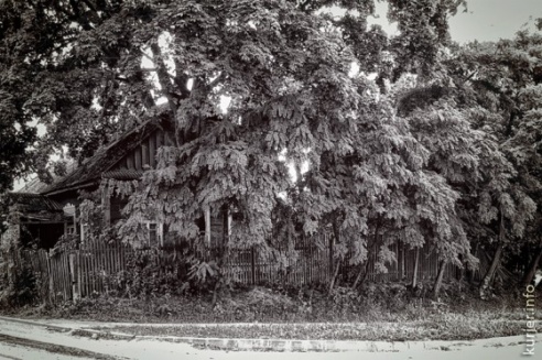 Фотохроника августа—2013. Слуцк