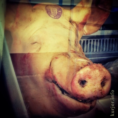 Фотохроника августа—2013. Слуцк