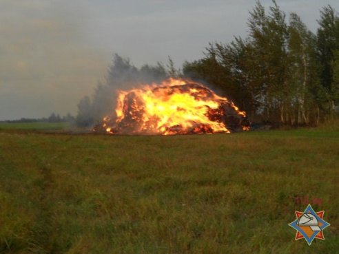 В Рогачевском районе сгорело 20 тонн соломы (фото)