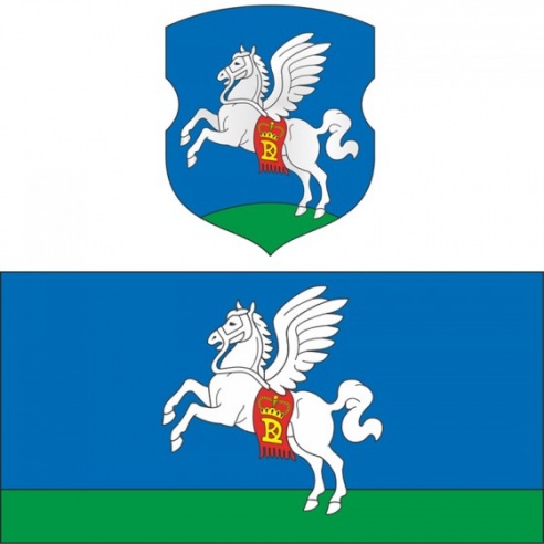 Алесь Достанко: фокус с цветом — игры патриотов