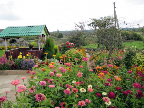 Ему и сегодня снятся тракторы