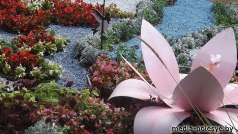 За сделанную в Ляховичах клумбу столинские коммунальщики получили диплом