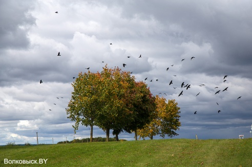 Запрашэнне ў восень