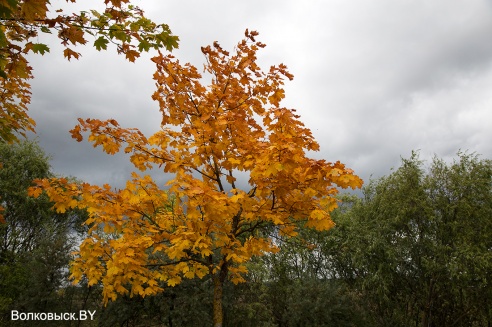 Запрашэнне ў восень