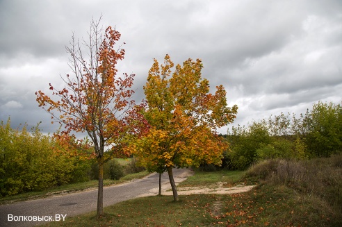 Запрашэнне ў восень