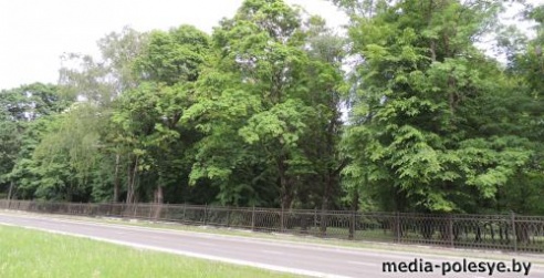 Молодожёны для свадебной фотосессии выбирают самые красивые места в городе