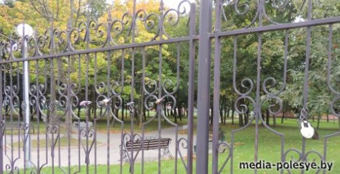 Молодожёны для свадебной фотосессии выбирают самые красивые места в городе